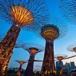 Сады у залива в Сингапуре – одна из любимых достопримечательностей у туристов