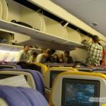 Fly til Thailand: Flytid, ombordstigning på flyet